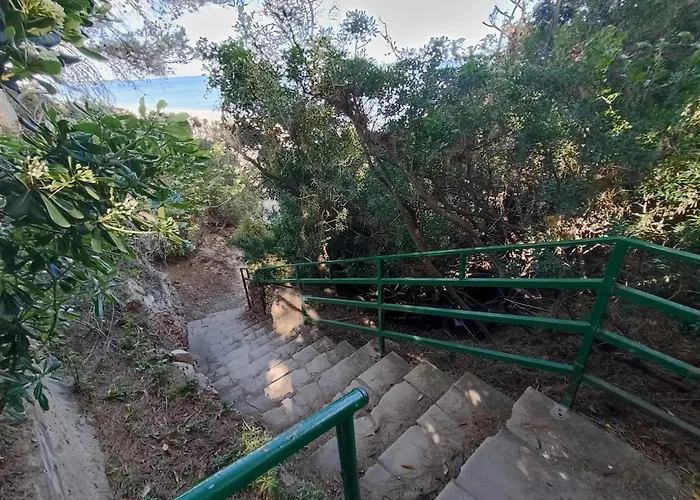 Panorama 4