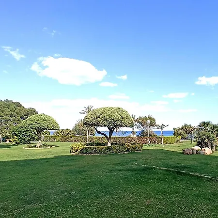 Panorama 4 *