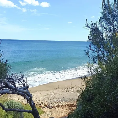 Panorama 4
