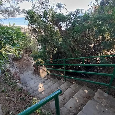 Panorama 4